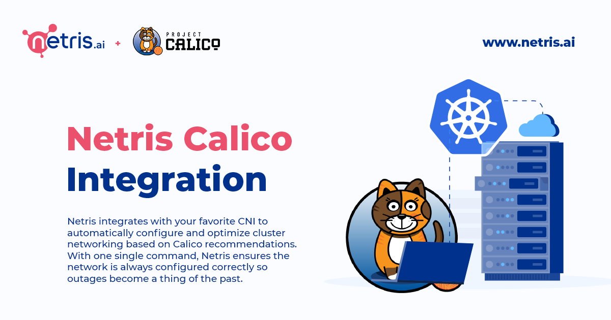 Netris Hashicorp Terraform Integration